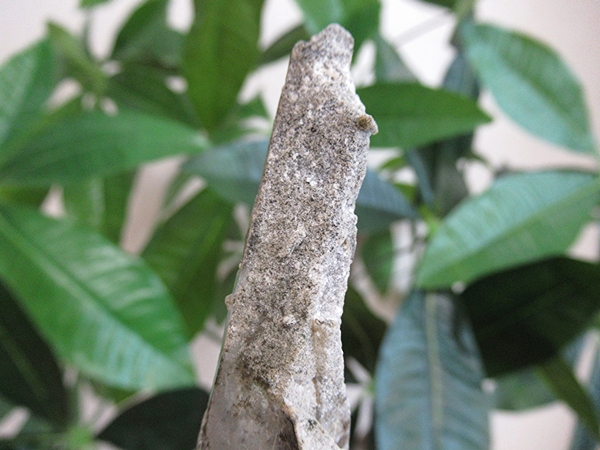 ガーデンクォーツ 原石 水晶 クラスター コリント ミナスジェライス州 ブラジル産