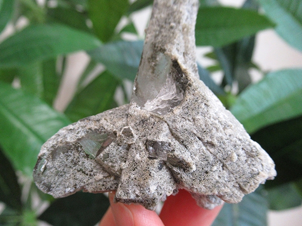 ガーデンクォーツ 原石 水晶 クラスター コリント ミナスジェライス州 ブラジル産