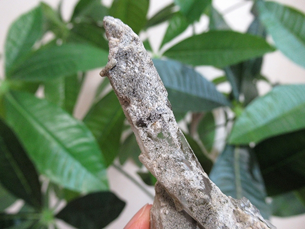 ガーデンクォーツ 原石 水晶 クラスター コリント ミナスジェライス州 ブラジル産