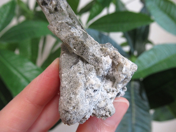 ガーデンクォーツ 原石 水晶 クラスター コリント ミナスジェライス州 ブラジル産