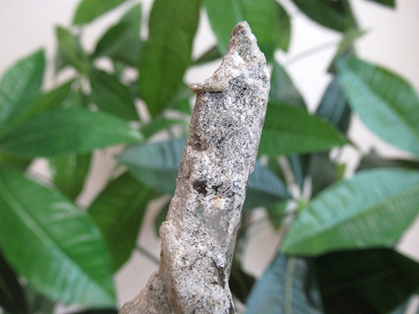 ガーデンクォーツ 原石 水晶 クラスター コリント ミナスジェライス州 ブラジル産