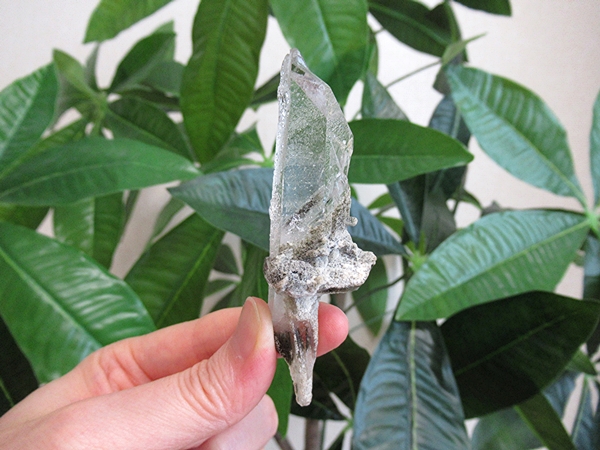 ガーデンクォーツ 原石 水晶 クラスター コリント ミナスジェライス州 ブラジル産