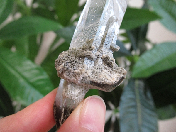 ガーデンクォーツ 原石 水晶 クラスター コリント ミナスジェライス州 ブラジル産