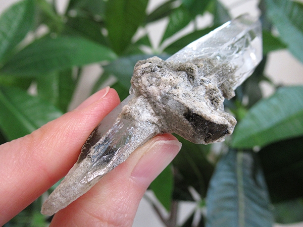 ガーデンクォーツ 原石 水晶 クラスター コリント ミナスジェライス州 ブラジル産