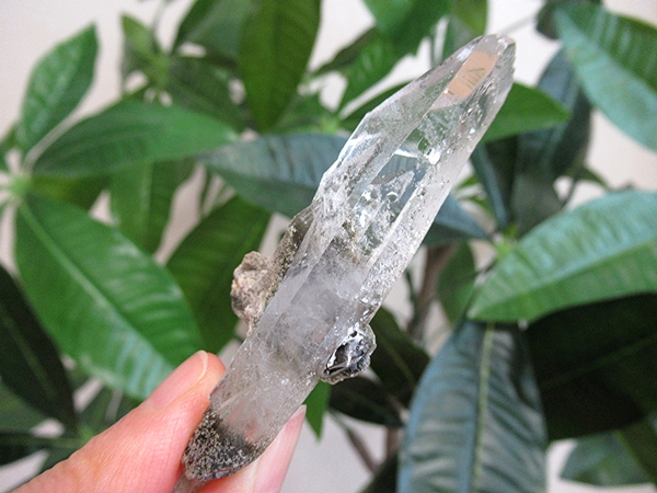 ガーデンクォーツ 原石 水晶 クラスター コリント ミナスジェライス州 ブラジル産