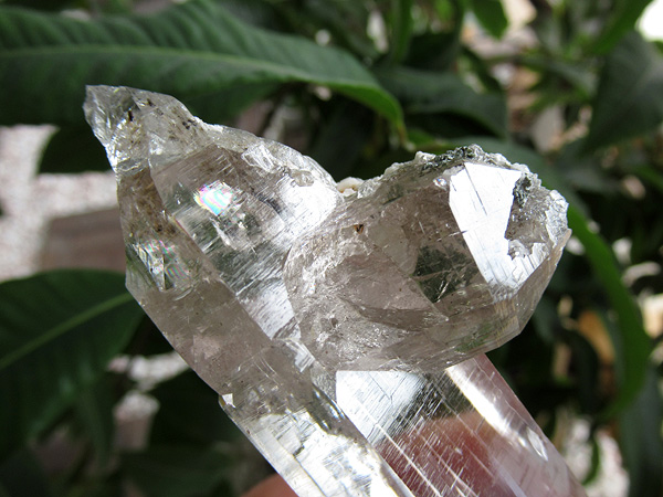 ガネーシュヒマール産　ヒマラヤ水晶 原石