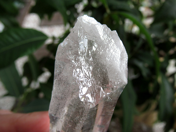 ガネーシュヒマール産　ヒマラヤ水晶 原石