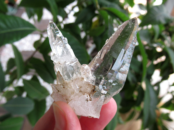 ガネーシュヒマール産　ヒマラヤ水晶 原石