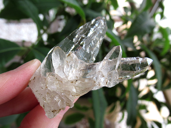 ガネーシュヒマール産　ヒマラヤ水晶 原石