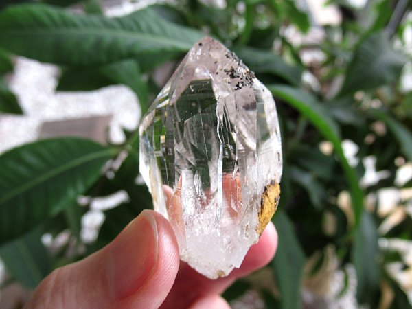 ガネーシュヒマール産　ヒマラヤ水晶 原石