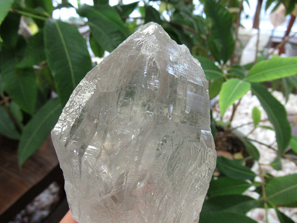 ガネーシュヒマール産　ヒマラヤ水晶 原石