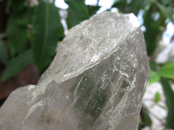 ガネーシュヒマール産　ヒマラヤ水晶 原石
