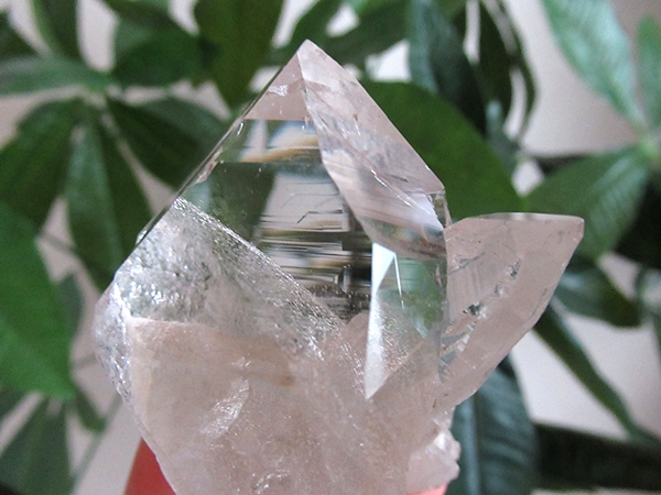 ガネーシュヒマール産　ヒマラヤ水晶 原石