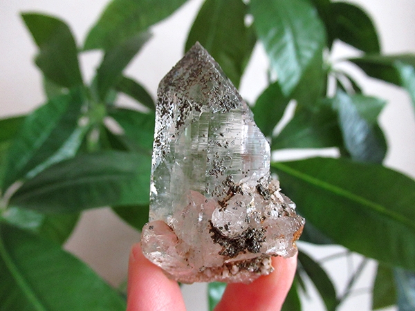 ガネーシュヒマール産　ヒマラヤ水晶 原石