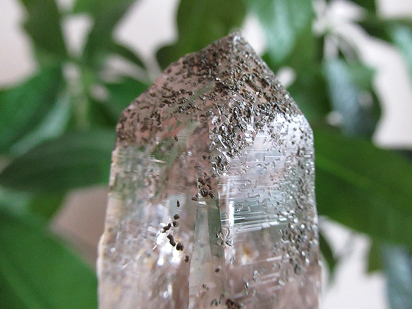 ガネーシュヒマール産　ヒマラヤ水晶 原石