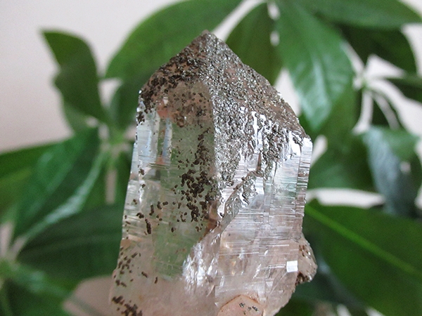 ガネーシュヒマール産　ヒマラヤ水晶 原石