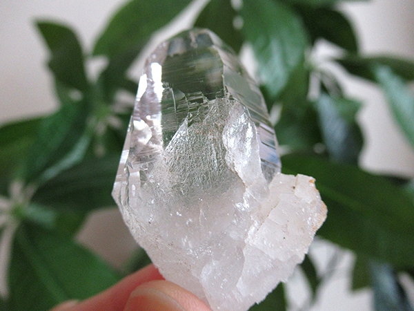 ガネーシュヒマール産　ヒマラヤ水晶 原石