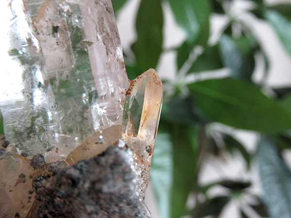 ガネーシュヒマール産　ヒマラヤ水晶 原石