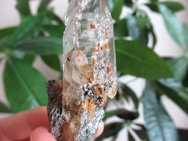 ガネーシュヒマール産　ヒマラヤ水晶 原石