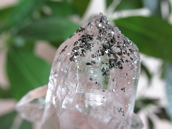 ガネーシュヒマール産　ヒマラヤ水晶 原石