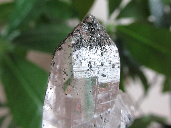 ガネーシュヒマール産　ヒマラヤ水晶 原石