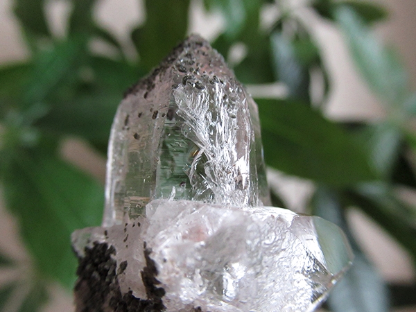 ガネーシュヒマール産　ヒマラヤ水晶 原石