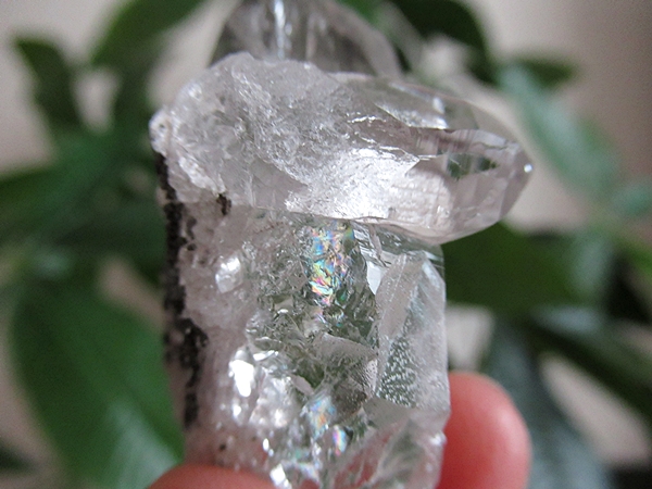 ガネーシュヒマール産　ヒマラヤ水晶 原石