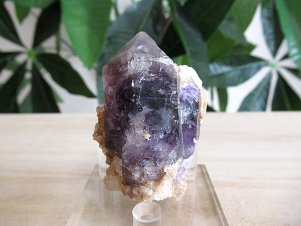 ナミビア Goboboseb産 アメシスト標本(ハイクオリティ) ナミビア・ブランドバーグ産アメシストクラスター1｜ファイン