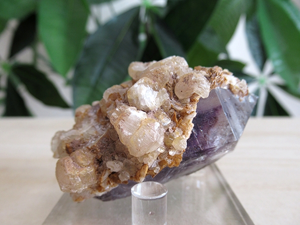 ブランドバーグ産アメジスト ゴボボセブマウンテン 原石