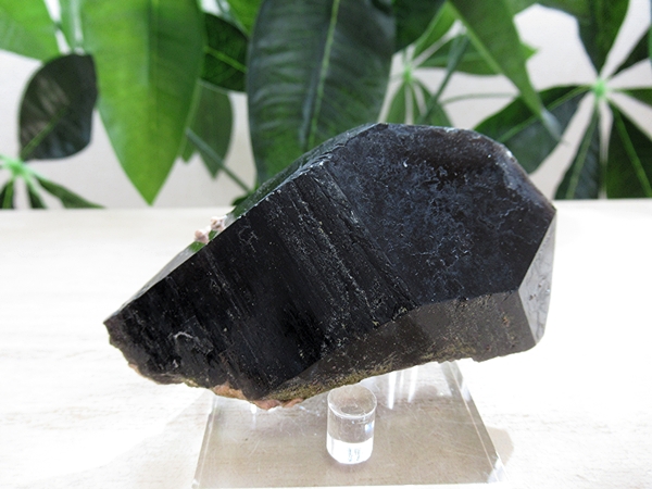 モリオン 原石 黒水晶
