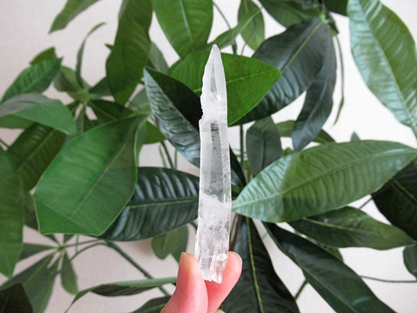 ミナスジェライス州 コリント産 レムリアンシードクリスタル 水晶 原石