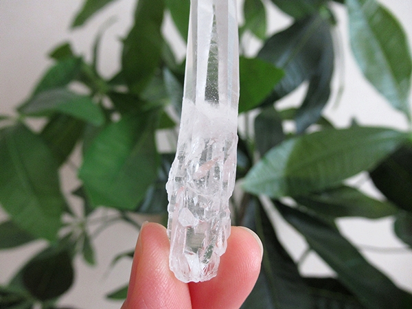 ミナスジェライス州 コリント産 レムリアンシードクリスタル 水晶 原石
