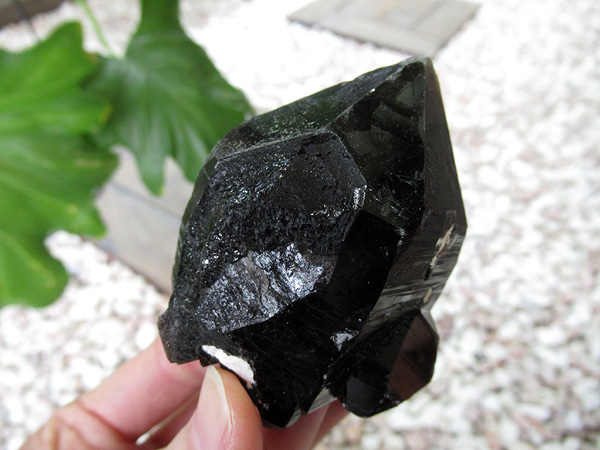 黒水晶　モリオン　結晶 原石 楽天市場】No.【E22646】天然モリオン 黒水晶 モリオン 原石