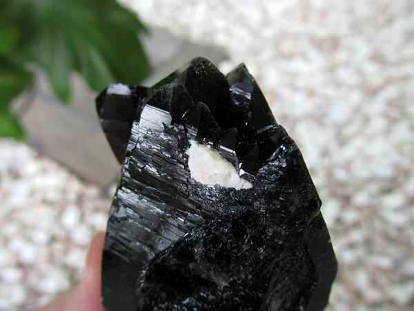 モリオン　黒水晶　原石 山東省産 モリオン 純天然 黒水晶 原石 t460-6892 : 誠安天然石