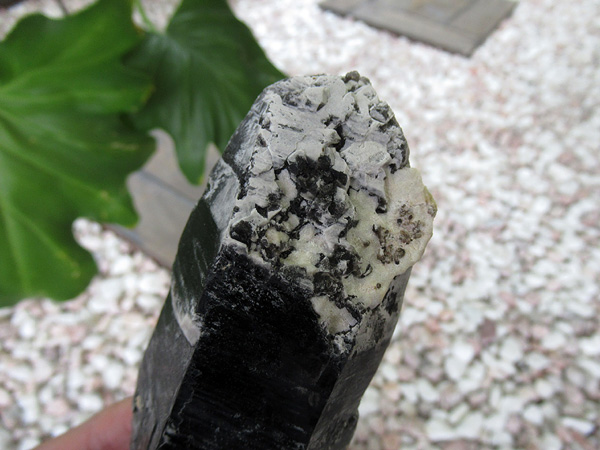 モリオン原石の通販/高品質天然黒水晶販売 | 天然石専門店【鬮石
