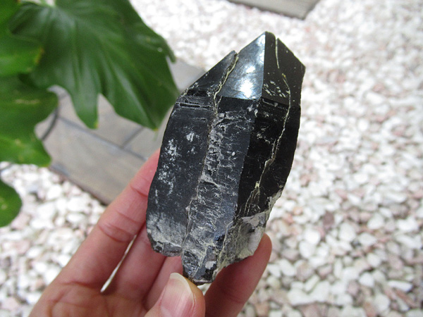 希少　モリオン原石 黒水晶 モリオン 原石　天然石 モリオン原石の通販/高品質天然黒水晶販売 | 天然石専門店【鬮石