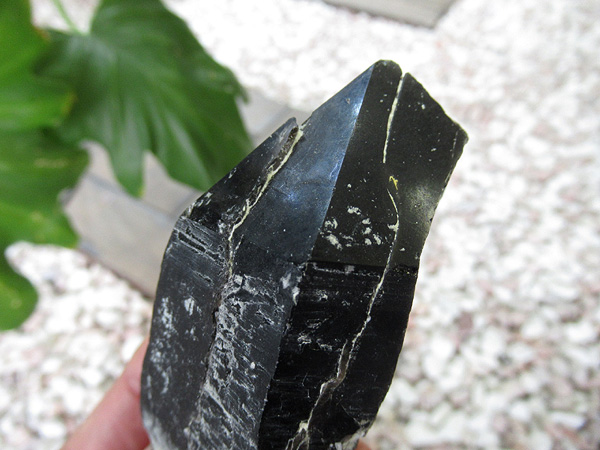 黒水晶（モリオン）原石 黒水晶（モリオン）原石クラスター［No.25］ | パワーストーン