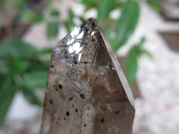 モンドクォーツ 高品質タンザニア産水晶原石の通販/販売 |【鬮石