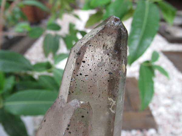 モンドクォーツ 高品質タンザニア産水晶原石の通販/販売 |【鬮石