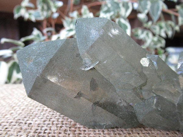 【超希少】天然モンブラン水晶(イタリア産)原石 アルプス水晶 モンブラン水晶クラスター フランス産 原石販売 | 天然石専門店【鬮石】