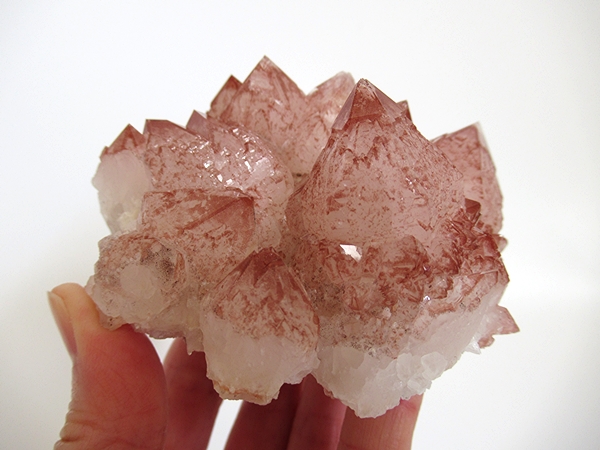 水晶 レッドファントム クラスター 原石 cat_redphantomquartz_cluster-