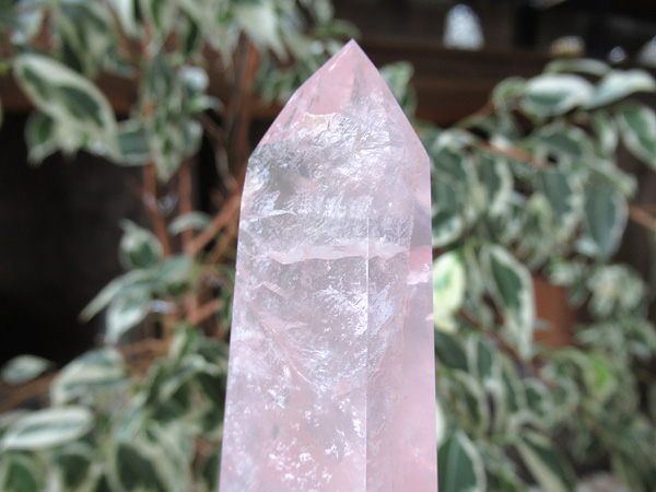 ローズクォーツ ポイント 紅水晶 天然石専門店 販売/鬮石