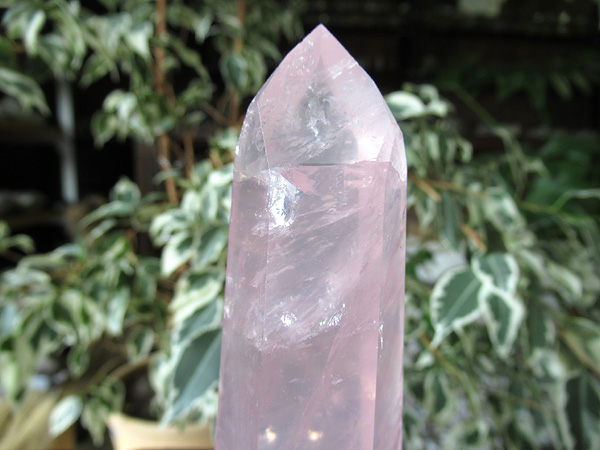 ローズクォーツ ポイント 紅水晶 天然石専門店 販売/鬮石