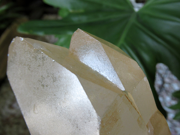 タンジェリーナクォーツ 水晶 原石 ブラジル産