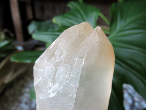 タンジェリーナクォーツ 水晶 原石 ブラジル産