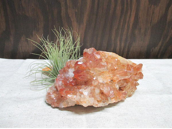 ブラジル産タンジェリーナ（タンジェリン）クォーツ水晶原石クラスター