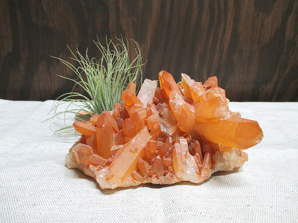ブラジル産タンジェリーナ（タンジェリン）クォーツ水晶原石クラスター