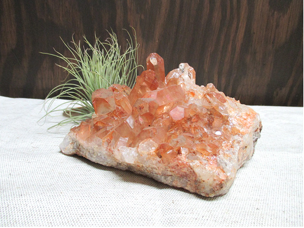 ブラジル産タンジェリーナ（タンジェリン）クォーツ水晶原石クラスター