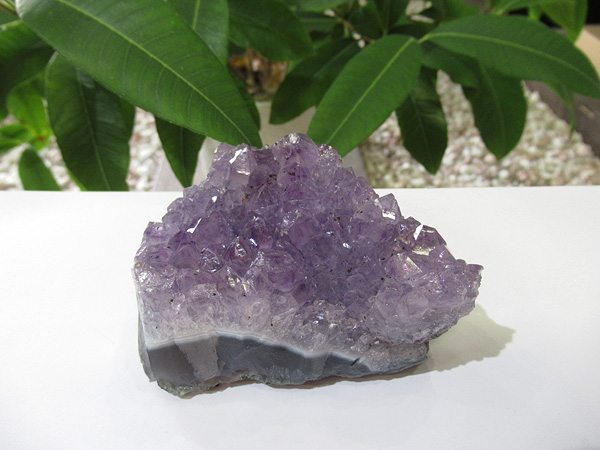 アメジスト クラスター/紫水晶/原石 アメジスト 原石 クラスター 紫水晶 天然石専門店 販売/鬮石