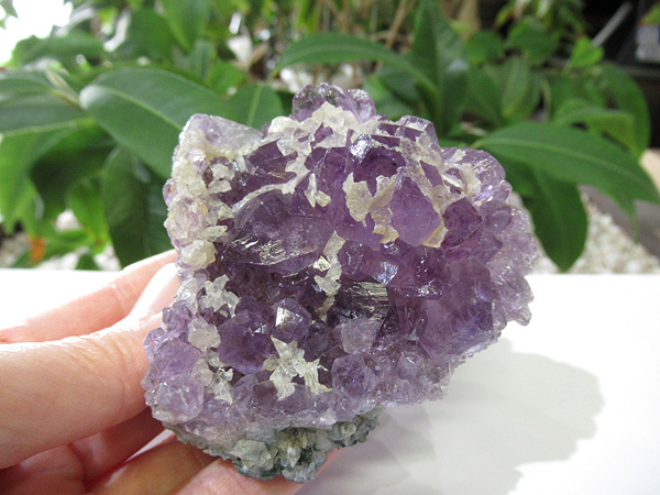 アメジスト 原石 クラスター 紫水晶 天然石専門店 販売/鬮石